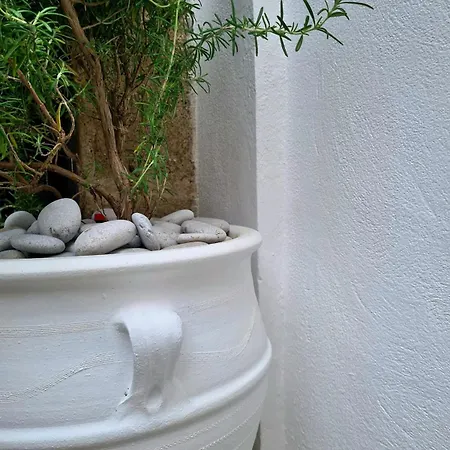 Charming Old Town House & Peaceful Patio 度假居